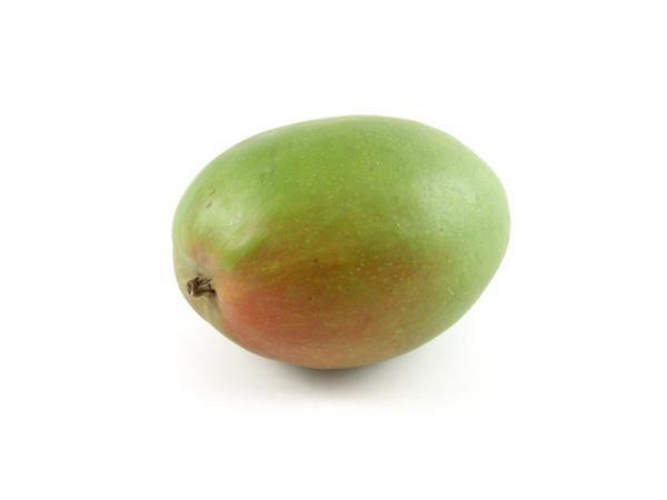 Zumo de mango. Puré de fruta