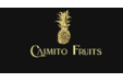 Caimito Fruits Europe