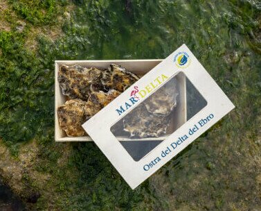 Caja de ostras del delta del Ebro. Caja de ostras del delta del Ebro de la marca Mar Delta