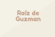Raíz de Guzman