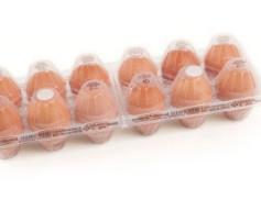 Huevos X, L o M. Pack de plastico 6 x 2