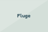 Fluge