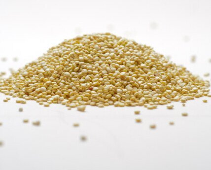 Quinoa real premium grano blanco. Grano de quinoa pulido, lavado, desaponificado por tratamiento físico, clasificado