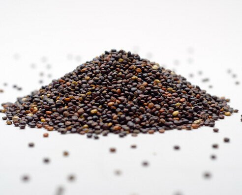 Quinoa real premian grano negro. Este pseudocereal se diferencia de los demás cereales por su mayor contenido proteína