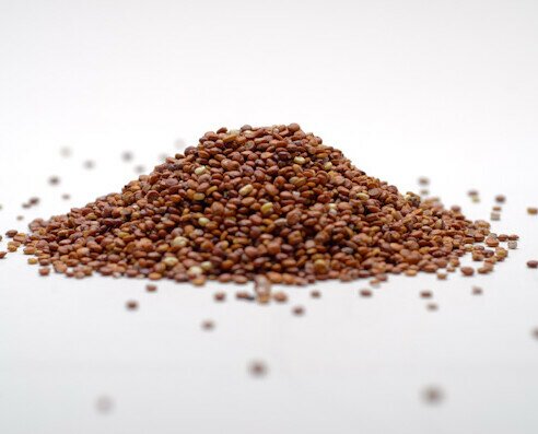Quinoa real premium grano rojo. Presenta unas propiedades únicas debido a su alto valor nutritivo,