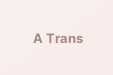 A Trans