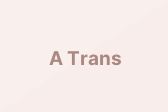 A Trans