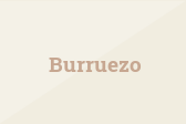 Burruezo