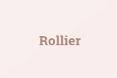 Rollier
