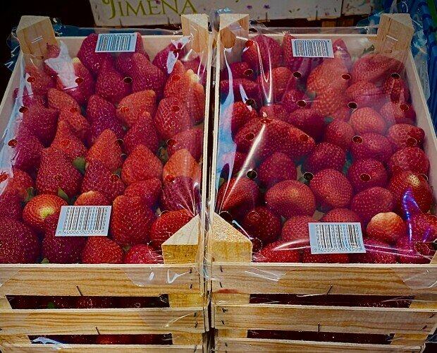 Distribuidores de fresas . Distribuidores de fresas al por mayor de temporada