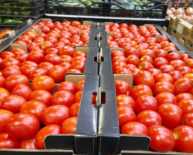 Distribuidores de tomates . Distribuidores de tomates naturales al por mayor