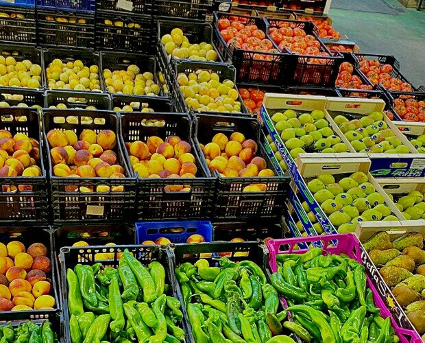 Proveedores frutas y verduras. Almacenamiento y mantenimiento de frutas y verduras