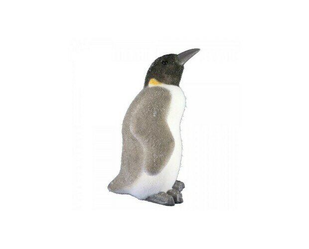 Pingüino. Hermoso pingüino polar blanco