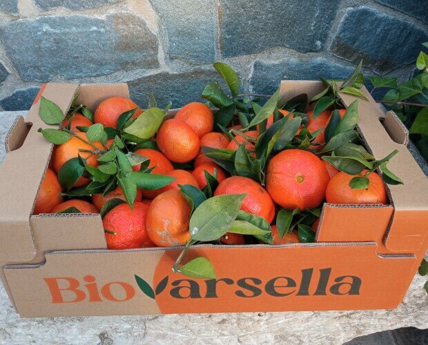 Caja de mandarinas ecológicas. Caja de mandarinas ecológicas Bio Varsella