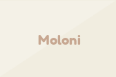 Moloni