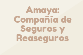 Amaya: Compañía de Seguros y Reaseguros
