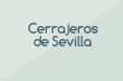 Cerrajeros de Sevilla