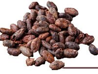 Cacao en Grano. En la misma zona que nuestro mango tenemos CACAO blanco fino de aroma.