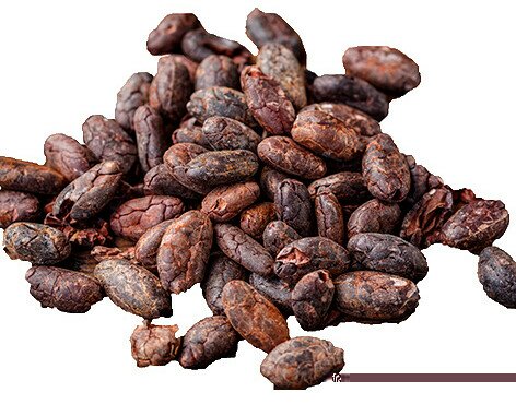 Cacao en Grano.En la misma zona que nuestro mango tenemos CACAO blanco fino de aroma.