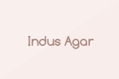 Indus Agar