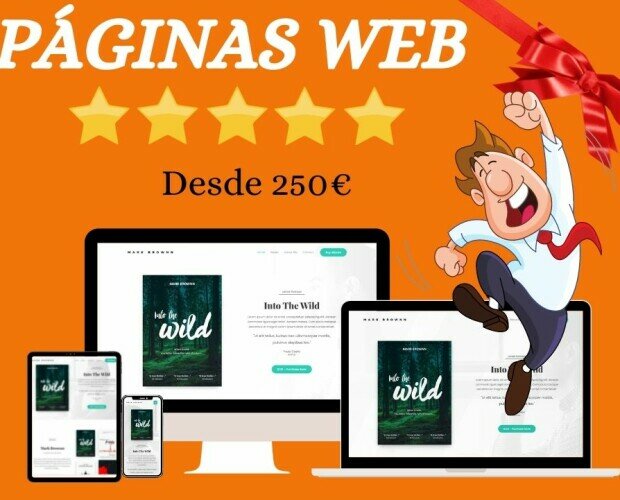 Diseño de paginas web. Diseño y desarrollo de páginas web en Burgos desde 250€