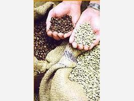 Café en Grano. Tostado de café en grano proveniente de arabia