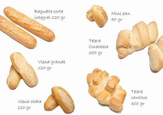 Panes pequeños. Pan de viena, barra corta, mini panes