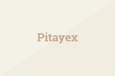 Pitayex