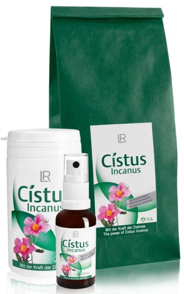 Productos Cistus. Cistus Incanus en varios formatos