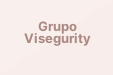 Grupo Visegurity