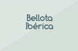 Bellota Ibérica
