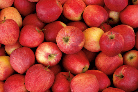 Manzanas. Distribuimos manzanas rojas de calidad