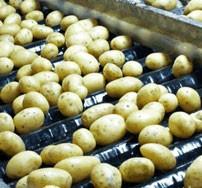 Proveedores de patatas