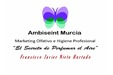 Ambiseint Murcia