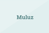 Muluz