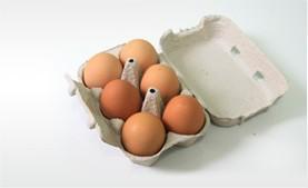 Proveedores de huevos. Huevos morenos XL de más de 73 gramos