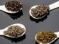 Caviar. Contamos con el mejor caviar del mundo
