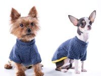 Equipamiento para Cuidado de Las Mascotas. Jersey para perro mediano o pequeño