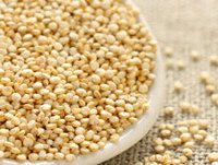Quinoa. Cereal muy beneficioso 