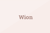 Wion