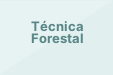 Técnica Forestal