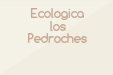Ecologica los Pedroches