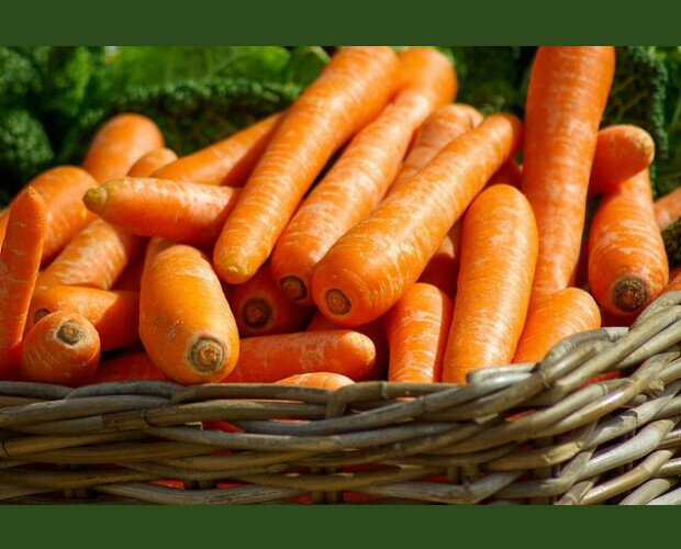 Zanahorias. Zanahorias de gran sabor y frescas