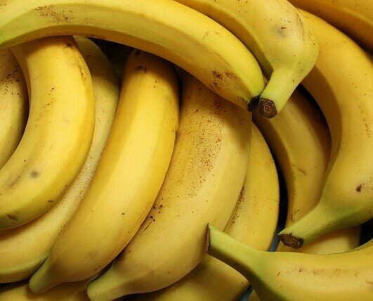 Plátanos. Plátanos en todas sus variedades