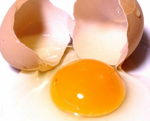 Huevos. Los mejores huevos de gallina de la mano de Huevos Alfa