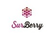 Surberry