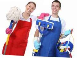 Servicios de limpieza. Servicios de limpieza integrales