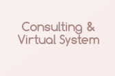 Consulting & Virtual System