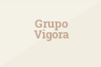 Grupo Vigora