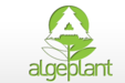 Algeplant